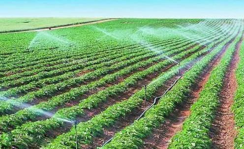 哦嗯嗯嗯好深app农田高 效节水灌溉